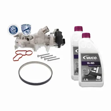 VAICO Wasserpumpe + Riemen + 3L Frostschutz f&uuml;r VW Golf 7 8 Passat B8 Polo 6 1.0/1.5 TSI