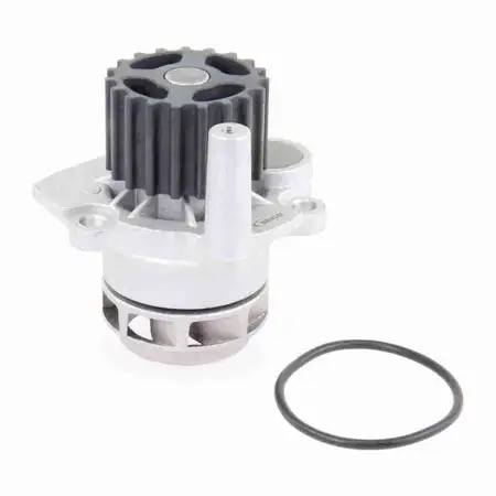 VAICO V10-50060 Wasserpumpe f&uuml;r VW Polo 4 SKODA Fabia 1 SEAT Ibiza 3 Cordoba 6L 1.9 SDI