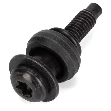 2x Ventildeckelschraube Ventilabdeckung f&uuml;r AUDI SEAT SKODA VW 06B103831J