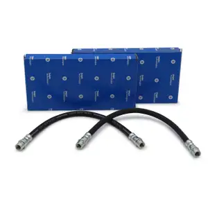 2x DELPHI LH6063 Bremsschlauch f&uuml;r MERCEDES A-Klasse W168 hinten innen 1684280235