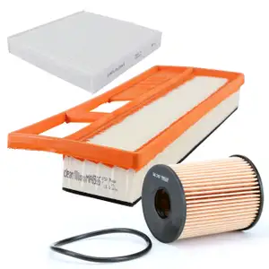 Filter-Set f&uuml;r Fiat 500 / C (312) 1.3 D Multijet 75 PS ab 09.2011