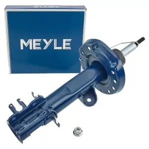 MEYLE 2266230025 Sto&szlig;d&auml;mpfer Federbein f&uuml;r FIAT 500L vorne links 51962119