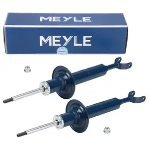 2x MEYLE Stoßdämpfer Federbein für VW Passat B5 B5.5 AUDI A4 B5 A6 C5 SKODA Superb 1 vorne