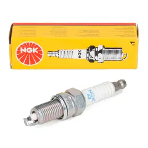 NGK 1691 Z&uuml;ndkerze f&uuml;r ALFA ROMEO Mito LANCIA Musa Ypsilon FIAT 500 Panda Punto Doblo FORD