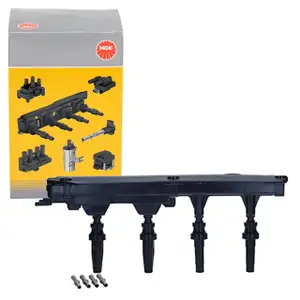 NGK 48051 U6012 Z&uuml;ndmodul f&uuml;r CITROEN Evasion Xantia Xsara PEUGEOT 306 406 605 1.8/2.0 16V