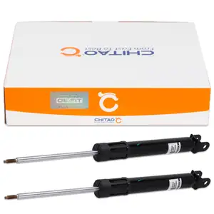 2x CHITAO CT89912 Oil-Pressure Shock Absorbers for BYD Atto 3 EV 204 HP (Rear) 14051391-00