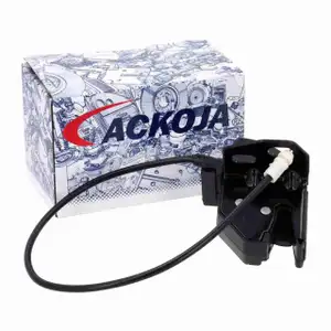 ACKOJA A38-85-0057 Heckklappenschloss NISSAN NV400 Movano B RENAULT Master 3 unten links