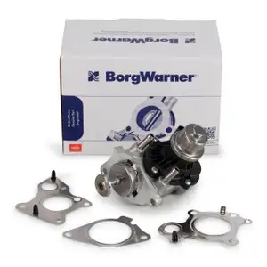BORGWARNER AGR Ventil für BMW 1er 3er 5er X1 X2 X3 MINI F55 F56 B47 B57 N47 11718594492