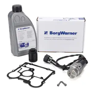 BORGWARNER Haldex Gen IV Pumpe Vorladepumpe + Filter + 850ml &Ouml;l f&uuml;r OPEL Insignia A