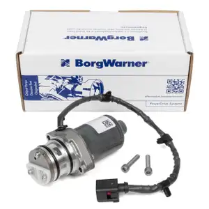 BORGWARNER Pumpe Haldex Vorladepumpe für AUDI A1 8X A3 8P VW GOLF 5 6 T5 hinten 0AY598549A