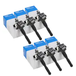 6x DELPHI Z&uuml;ndspule f&uuml;r BMW 3er E36 E46 5er E39 7er E38 X5 E53 Z3 M50 M52 M54 S50