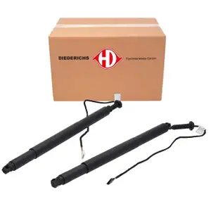 2x DIEDERICHS Heckklappend&auml;mpfer Elektromotor Heckklappe f&uuml;r BMW X6 F16 X6M F86