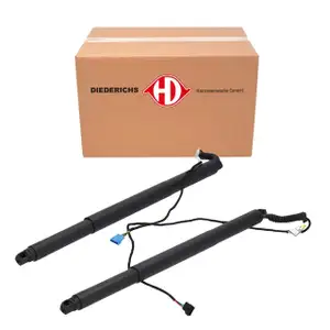 2x DIEDERICHS Heckklappend&auml;mpfer Elektromotor Heckklappe f&uuml;r BMW X4 F26