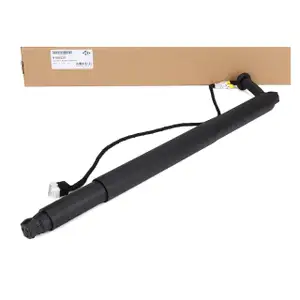 DIEDERICHS Heckklappend&auml;mpfer elektrisch f&uuml;r BMW X6 F16 F86 hinten rechts 51247434044
