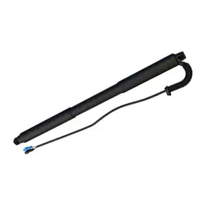 DIEDERICHS 9100611 Heckklappend&auml;mpfer elektrisch f&uuml;r BMW 3er F31 hinten links 51247462539