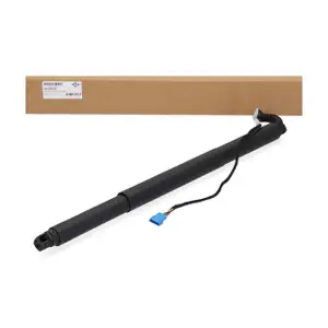 DIEDERICHS 9100619 Heckklappend&auml;mpfer Gasfeder elektrisch f&uuml;r BMW X4 rechts 51247339432