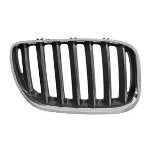 DIEDERICHS Air Intake Grille, Black Chrome, for BMW X5 E53 (Right Side) 51138402646