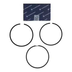 KOLBENSCHMIDT Kolbenringsatz MERCEDES-BENZ W202 S202 W210 S210 W638 OM602 OM604 0020302624