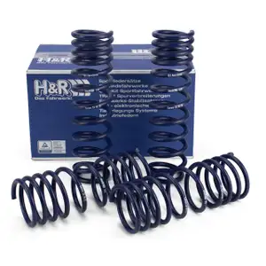 H&R 40/40MM Tieferlegungsfedern für PORSCHE 964 3.6 Carrera / 4 250 PS vorne + hinten