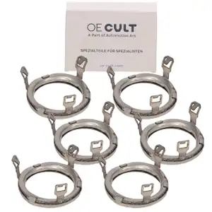 6x OE-Cult W&auml;rmeschutzscheibe Einspritzd&uuml;se f&uuml;r BMW N52 N53 N54 N55 13537564751