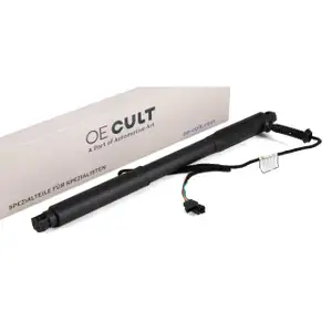 Heckklappend&auml;mpfer Elektromotor Heckklappe f&uuml;r BMW X5 E70 hinten links 51247332695