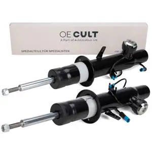 2x Sto&szlig;d&auml;mpfer Gasdruckd&auml;mpfer f&uuml;r BMW X5 F15 X6 F16 mit VDC vorne