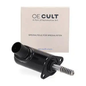 OE-Cult Stellelement Exzenterwelle f&uuml;r BMW F20 F30 F21 F31 MINI R55-61 N13 N18 11377591588