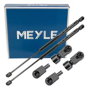 2x MEYLE 0409100033 Heckklappend&auml;mpfer f&uuml;r MERCEDES-BENZ C-Klasse T-Model S204 2049803064