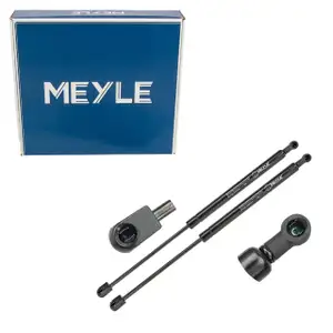 2x MEYLE 1409100040 Heckklappend&auml;mpfer Gasfeder Heckklappe f&uuml;r VW Passat B6 Variant 3C5