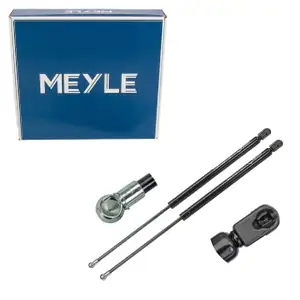 2x MEYLE 1409100084 Heckklappend&auml;mpfer Gasfeder D&auml;mpfer Heckklappe f&uuml;r AUDI Q7 4LB