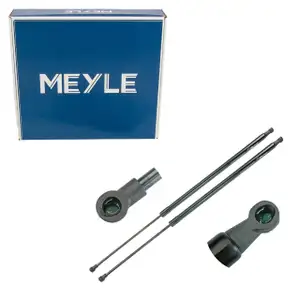 2x MEYLE 16409100034 Heckklappend&auml;mpfer Gasfeder Heckklappe f&uuml;r RENAULT Grand/Scenic 3