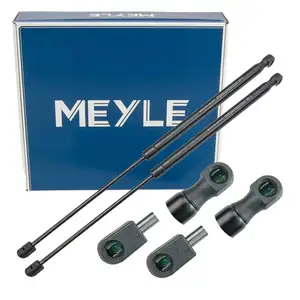 2x MEYLE 7409100019 Heckklappend&auml;mpfer D&auml;mpfer Heckklappe f&uuml;r FORD Focus 1 DNW 1146649