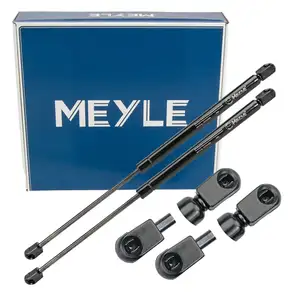 2x MEYLE 7409100029 Heckklappend&auml;mpfer D&auml;mpfer Heckklappe f&uuml;r FORD Focus 2 MK2 1321021