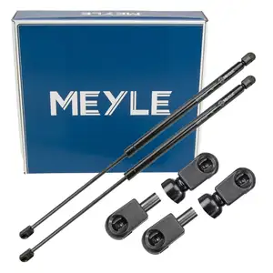 2x MEYLE 7409100033 Heckklappend&auml;mpfer D&auml;mpfer Heckklappe f&uuml;r FORD Focus 2 MK2 1349309