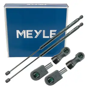 2x MEYLE 7409100040 Heckklappend&auml;mpfer D&auml;mpfer Heckklappe f&uuml;r FORD Fiesta 6 MK6 1666068