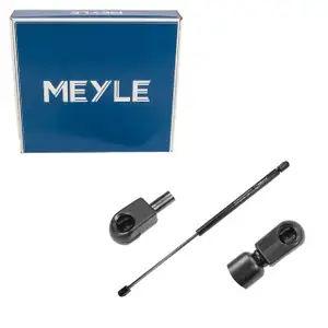 MEYLE 16409100005 Heckklappend&auml;mpfer D&auml;mpfer Heckklappe f&uuml;r RENAULT 19 2 7700818237