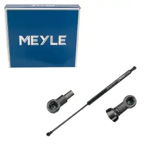 MEYLE 16-409100032 Heckklappend&auml;mpfer D&auml;mpfer Heckklappe f&uuml;r RENAULT Laguna 3 844300001R