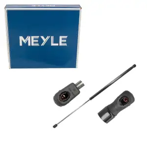 MEYLE 16409100050 Heckklappend&auml;mpfer Gasfeder Heckklappe f&uuml;r RENAULT Megane 3 904510002R