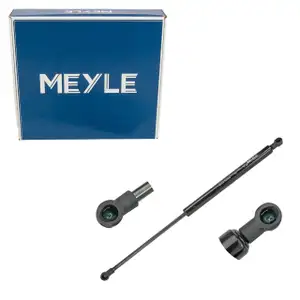 MEYLE 2409100024 Heckklappendämpfer für FIAT ABARTH Punto/Evo Grande Punto 199 51778432