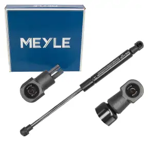 MEYLE Heckklappend&auml;mpfer Gasfeder D&auml;mpfer f&uuml;r FIAT 500C ABARTH 500C/595C/695C 51859965