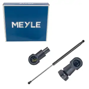 MEYLE 3409100016 Heckklappend&auml;mpfer D&auml;mpfer Heckklappe f&uuml;r BMW 1er F20 F21 51247239871