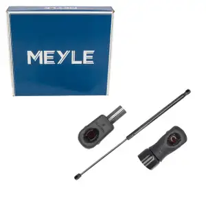 MEYLE 3409100023 Heckklappend&auml;mpfer Gasfeder D&auml;mpfer Heckklappe f&uuml;r BMW X1 51242990136