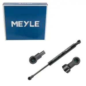 MEYLE Heckklappend&auml;mpfer D&auml;mpfer Heckklappe f&uuml;r FORD Focus 1 Stufenheck DFW 1124003