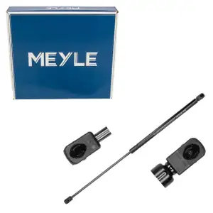 MEYLE 7409100044 Heckklappend&auml;mpfer D&auml;mpfer Heckklappe f&uuml;r FORD Focus 3 MK3 1747492
