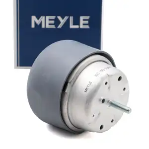MEYLE 1001990040 Motorlager für VW Passat B5 B5.5 AUDI A4 B5 A6 SKODA Superb 1 vorne links