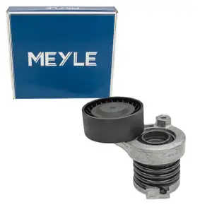 MEYLE Spannarm Keilrippenriemen für RENAULT Clio 2 3 4 Megane 2 3 4 Twingo 2 1.5 dci 1.6
