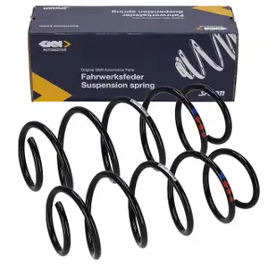 2x SPIDAN Fahrwerksfeder f&uuml;r VW Polo 9N 9A SEAT Ibiza 3 6L1 Cordoba SKODA Fabia 1 6Y vorne