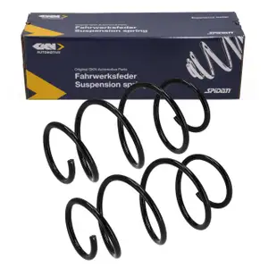 2x SPIDAN Fahrwerksfeder f&uuml;r BMW 1er F20 F21 2er F22 F23 3er F30 F31 F34 vorne 31336851717