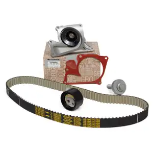 ORIGINAL RENAULT Zahnriemensatz + Wasserpumpe Megane Scenic Kangoo 1.5 dCi 119A07049R