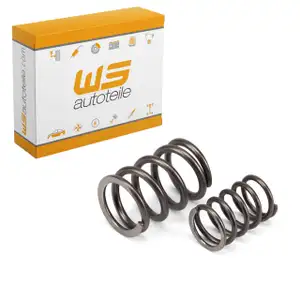 Ventilfeder Satz f&uuml;r PORSCHE 993 3.6/3.8 Carrera 3.6 Turbo / GT2 99310590151